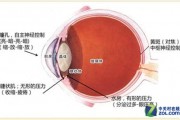 怎么测自己的眼睛度，怎么测自己的眼睛度数