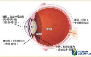 怎么测自己的眼睛度，怎么测自己的眼睛度数